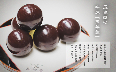 羊羹 玉嶋屋の玉羊羹 10個入り ようかん【株式会社玉嶋屋】