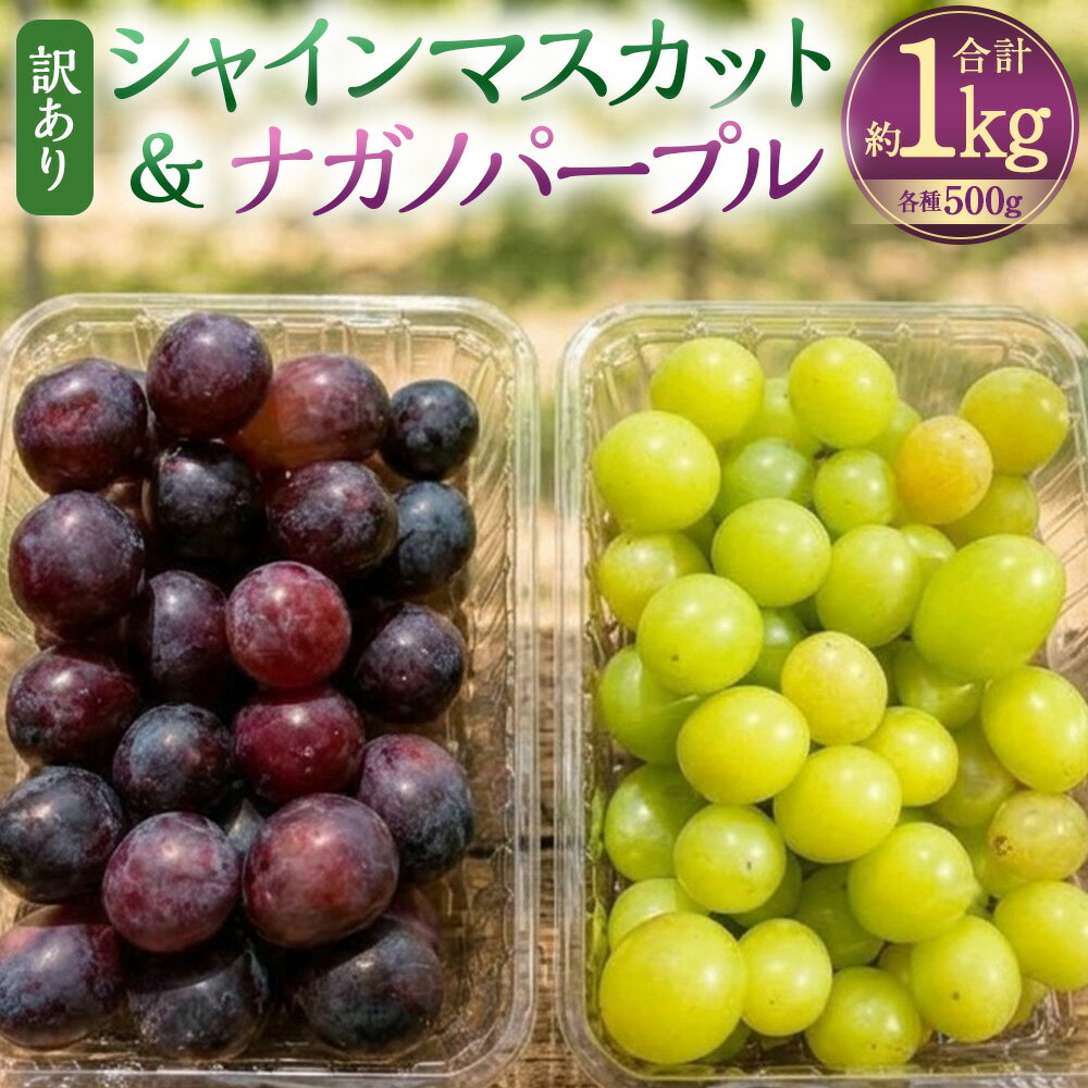 【ふるさと納税】【数量限定】粒パック 訳あり シャインマスカット&ナガノパープル 1パック約500g 計約1kg 【2026年8月下旬-11月上旬発送開始予定】 2種類 セット ぶどう 葡萄 果物 フルーツ 冷蔵 大分県 竹田市 送料無料