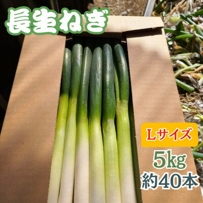 【ふるさと納税】【千葉県長柄町産】『長生ねぎ』Lサイズ　5kg(約40本)【1580616】