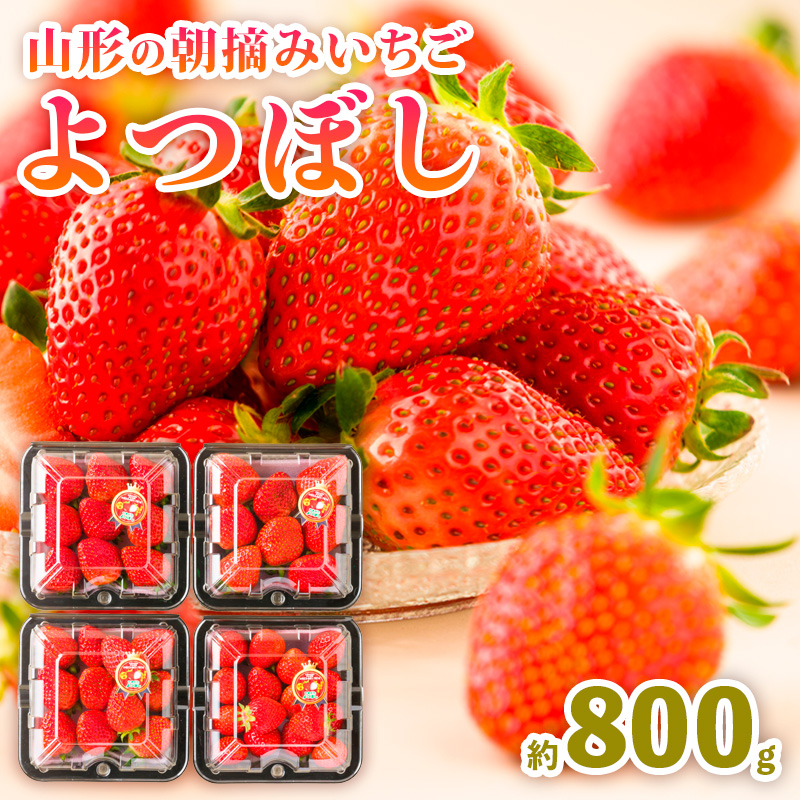 山形の朝摘みいちご よつぼし 約800g FY25-030
