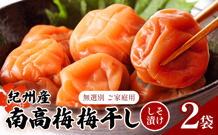 【数量限定！3～7営業日出荷】紀州 南高梅 梅干し しそ漬け 2袋 送料無料 メール便 ご家庭用 無選別 《3-7営業日以内に発送予定(土日祝日除く)》和歌山県 日高川町 しそ梅 はちみつ梅 しそ はちみつ 蜂蜜