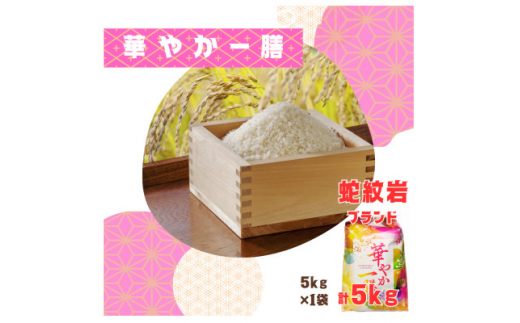 令和8年産＜先行受付＞2026年9月以降発送＜蛇紋岩ブランド　華やか一膳5kg＞_蛇紋岩 じゃもんがん ブランド米 華やか一膳 コシヒカリ 無洗米 こめ コメ お米 甘み 旨み 香り 高品質 低温管理 5kg 兵庫県 養父市 美味しい【1450983】