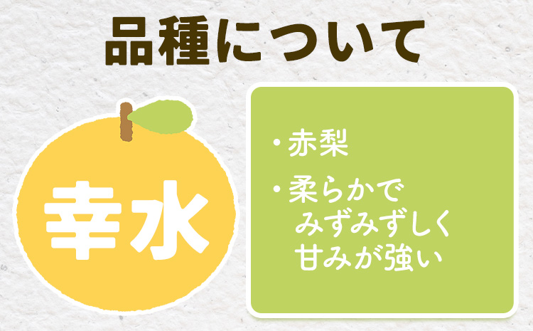 【2025年先行予約】とっくんちの梨「幸水」約5kg 《8月上旬-8月下旬頃出荷予定》 数量限定 鈴木農園 茨城県 結城市 数量限定 果物 フルーツ 甘み ジューシー 豊か 芳香 しゃりっ 爽やかな 