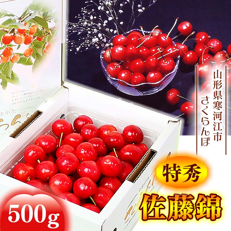 【ふるさと納税】《先行予約》 令和8年産 さくらんぼ 「 佐藤錦 」特秀品 500g Lサイズ 山形県産 2026年産 【2026年6月上旬頃から6月下旬頃発送予定】 ※配送不可 沖縄・離島山形産 お取り寄せ フルーツ 果物 果実 くだもの サクランボ 特産 東北 山形 寒河江 丸松青果