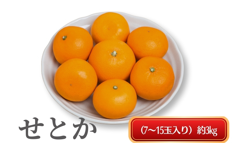 《とろける美味》 せとか 約3kg 甘い みかん （ お取り寄せ おすすめ 美味しい せとかみかん せとかふるさと納税 季節限定 柑橘 蜜柑 かんきつ フルーツ 青果 果物 くだもの 贈り物 特産品 ） 香川県観音寺市