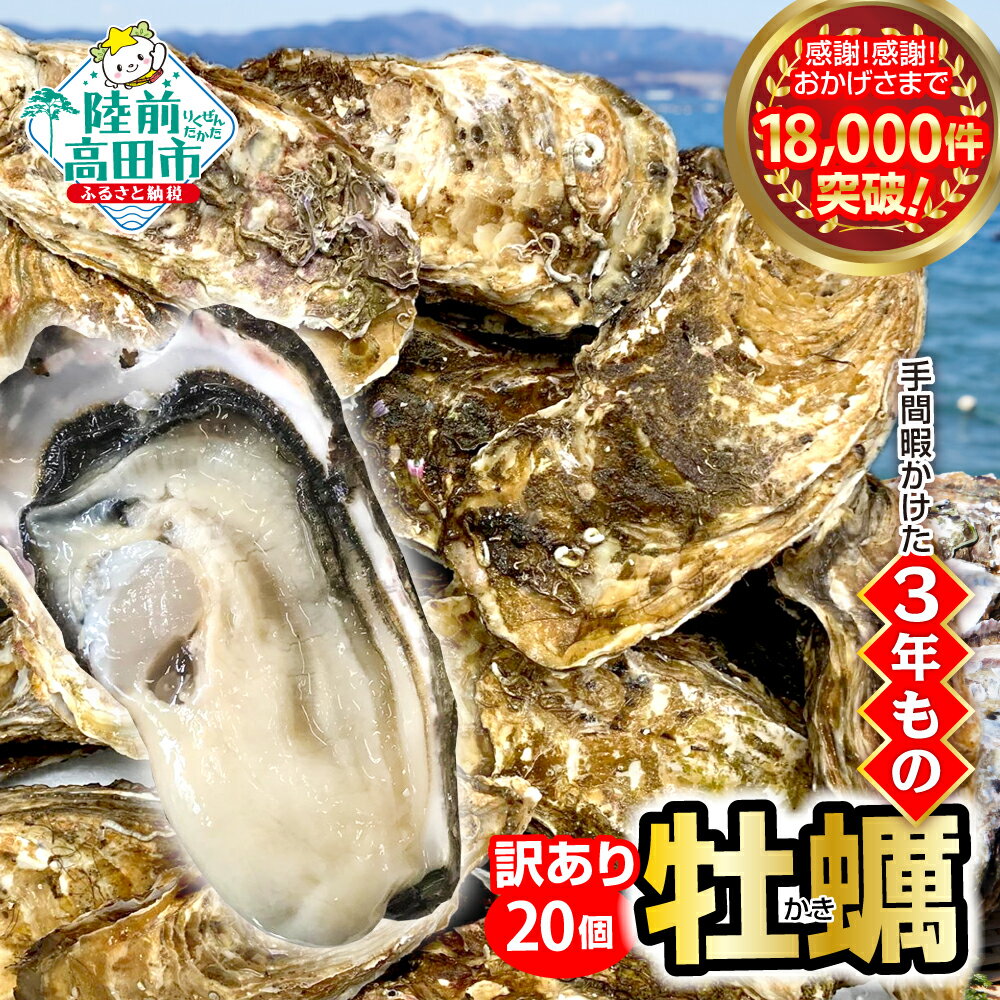 【ふるさと納税】「発送時期が選べる」先行予約 訳あり 牡蠣 20個 殻付き 生食 (ナイフ・軍手・剥き方説明書付き) [ ワケあり 規格外 不揃い かき カキ 生牡蠣 真牡蠣 新鮮 海鮮 鍋 牡蠣鍋 カキフライ バーベキュー BBQ 人気 三陸 産地直送 岩手 陸前高田 マルテン水産 ]