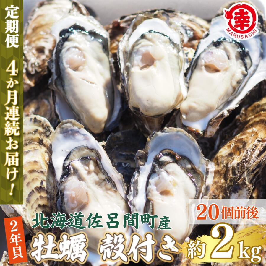 【ふるさと納税】【先行予約】【10月中旬から順次発送】カキ 殻付き 2年貝 約2kg（20個前後） 佐呂間産 ［4回定期便］ 【 ふるさと納税 人気 おすすめ ランキング 牡蠣 カキ かき 貝 牡蠣貝 殻付き ギフト 贈答 冷蔵 定期便 北海道 佐呂間町 送料無料 】 SRMA040