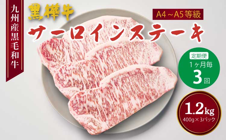 【3回定期便】九州産黒毛和牛 杉本本店 黒樺牛 A4~A5等級 サーロインステーキ定期便 400g×3回