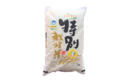[定期便 5kg×3ヶ月] 県認証 特別栽培米 コシヒカリ5kg 合計15kg 無洗米 新潟県認証 令和7年産 新潟県三条市産 こしひかり 3か月連続でお届け 【031S022】