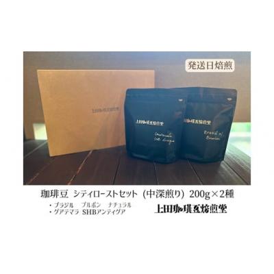 ふるさと納税 飯能市 【上田珈琲豆焙煎堂】珈琲豆 中深煎り セット 200g×2種 セット【豆】