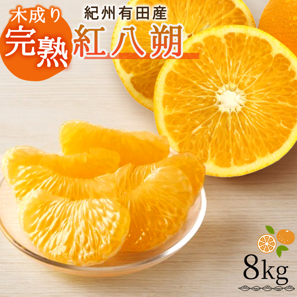 【先行予約】紀州有田産木成り完熟紅八朔８kg ※2027年2月下旬頃〜2027年3月中旬頃に順次発送予定（お届け日指定不可）/ みかん 不知火 和歌山 フルーツ 有田【uot795A】