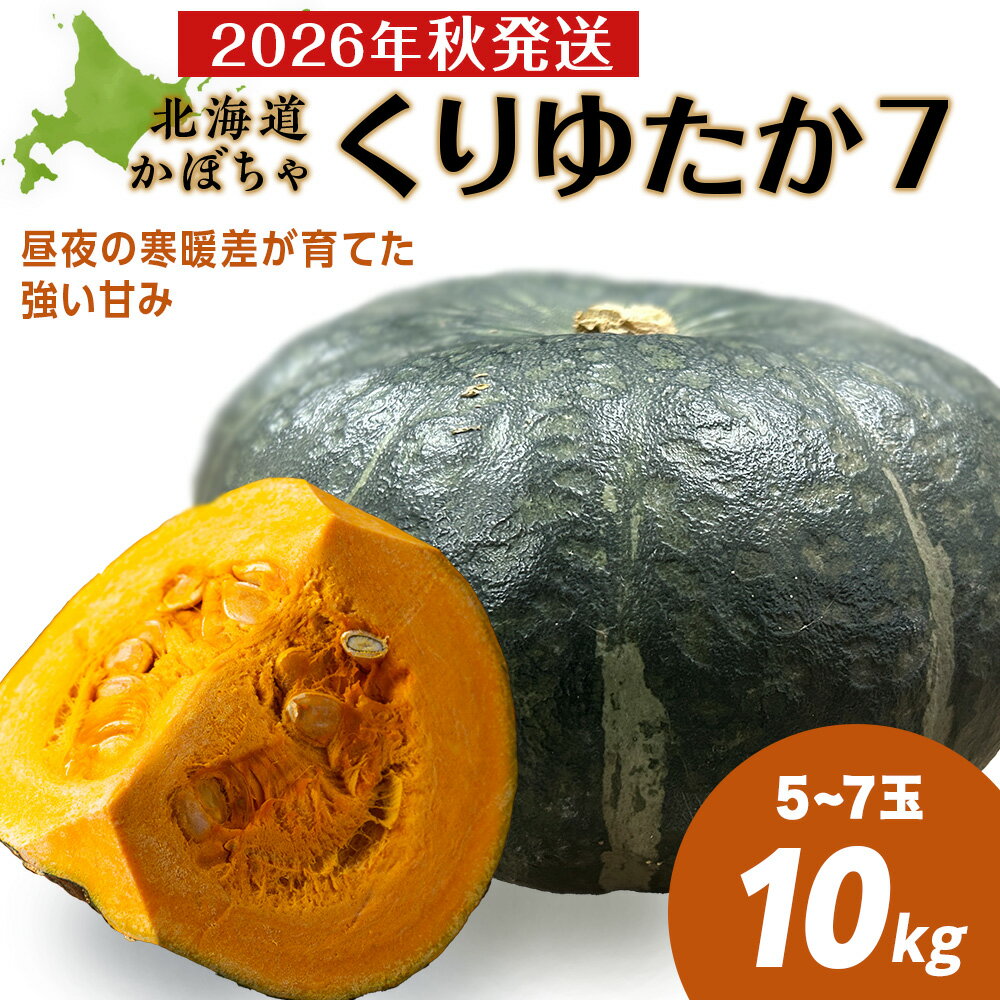 【ふるさと納税】【2026年秋頃発送予約】「くりゆたか」 かぼちゃ10kg(5玉〜7玉）有機質100％肥料 煮物 天ぷら北海道ふるさと納税 積丹町 ふるさと納税 北海道 野菜 減農薬 通販 ギフト 贈答品 贈り物