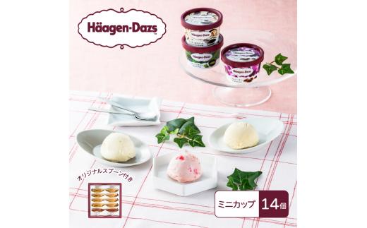 【25087】　ハーゲンダッツ／スタンダードセット