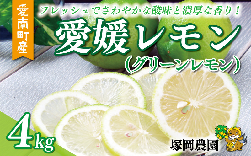 
数量限定 愛媛 レモン （ グリーンレモン ） 4kg 10000円 柑橘 サイズ 不揃い 贈答用 ギフト 家庭用 檸檬 国産 フルーツ 果物 果実 産地直送 農家直送 期間限定 特産品 瀬戸内 ワックス 防腐剤 不使用 果汁 人気 新鮮 レモネード 塩レモン レモン酢 レモンソース はちみつレモン レモンケーキ レモンスカッシュ レモンサワー レモン酎ハイ ビタミン 愛南町 愛媛県 塚岡農園
