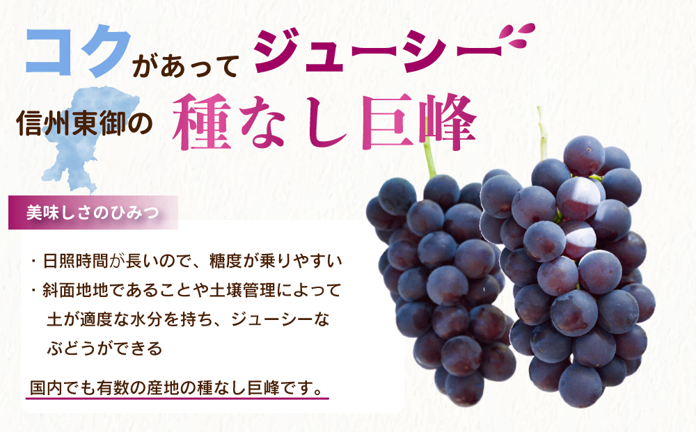 種なし巨峰2kg 良品サイズ色々詰め合わせ｜Ruga grape farm　※2026年9月中旬以降順次発送