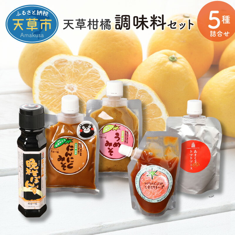 【ふるさと納税】天草 柑橘 調味料 セット 晩柑 ポン酢 にんにく みそ 梅 トマト ソース ケチャップ 晩柑 無添加 添加物不使用 加工品 手作り ギフト 贈答 お土産 手土産 お取り寄せ グルメ 送料無料