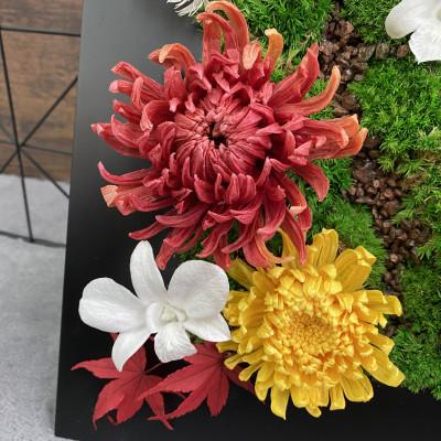 ふるさと納税 春日部市 プリザーブドフラワーアレンジ【紅芭(いろは)】春日部市 シュガーパイン　 |  | 01
