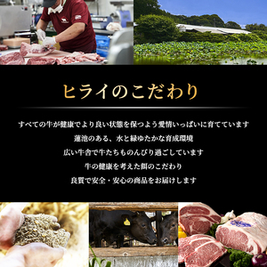 神戸牛 焼肉 6種食べ比べ 600g A4 A5 神戸牛