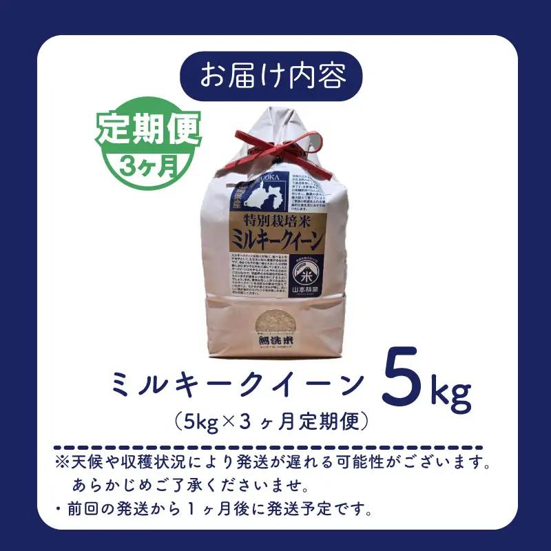 【3ヶ月定期便】 ミルキークイーン 5kg × 3回【無洗米】牧之原市 静岡県 山本耕業