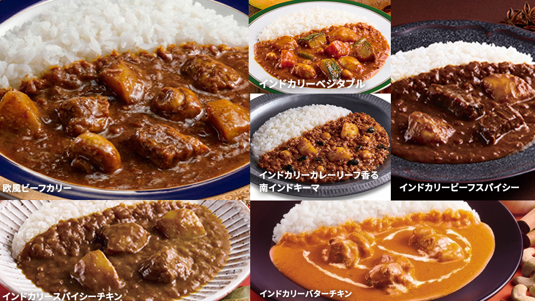 新宿 中村屋 レトルト カリー 食べ比べ セット 10種 13個入 人気 詰合せ 洋食 時短 カレー インドカレー ビーフ キーマ チキン バター チキン ハヤシ ベジタブル 野菜 長期保存 災害用 