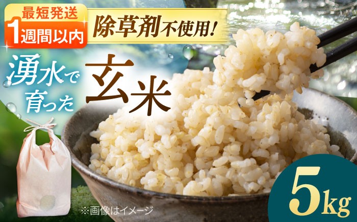 
                  【最短7営業日以内に発送】 玄米 5kg 令和7年産 ▼ 米 おこめ こめ 玄米 おすすめ 福岡県産 九州 米 お米 ご飯 未精米 最短 7日 スピード発送 桂川町/NOGAMI FARM　[ADAU009]
                