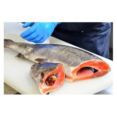 ふるさと納税 韮崎市 山梨県高級ブランド魚「富士の介」お刺身・切り身用約800g |  | 03