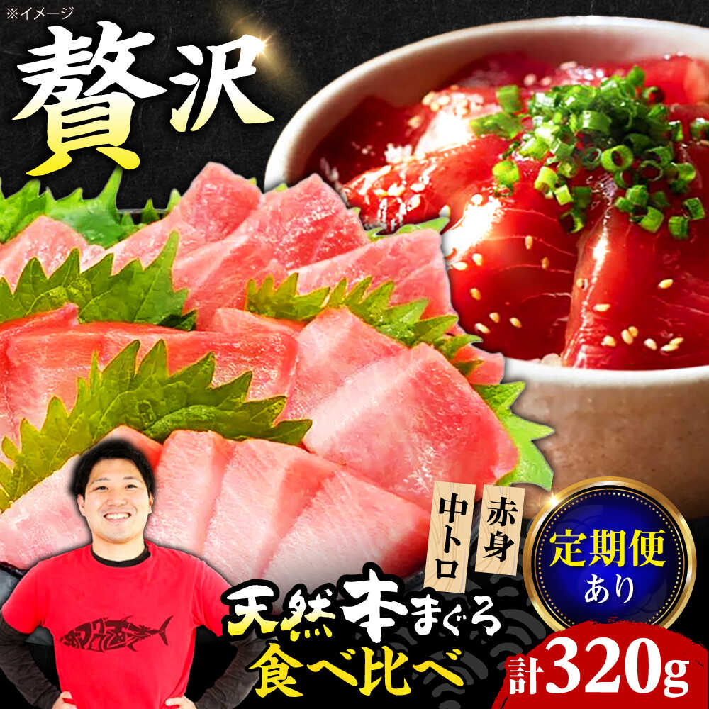 【ふるさと納税】【選べる定期便】極上！たね熟天然本まぐろ赤身＆中トロセット(320g 各160g) まぐろ マグロ 鮪 赤身 トロ 刺身 小分け 冷凍 海鮮 新鮮 さかな 魚介類 海鮮 ふるさと納税 贈答 ギフト プレゼント 人気 おすすめ 特産品 大阪府高槻市/本まぐろ直売所[AOCE002]