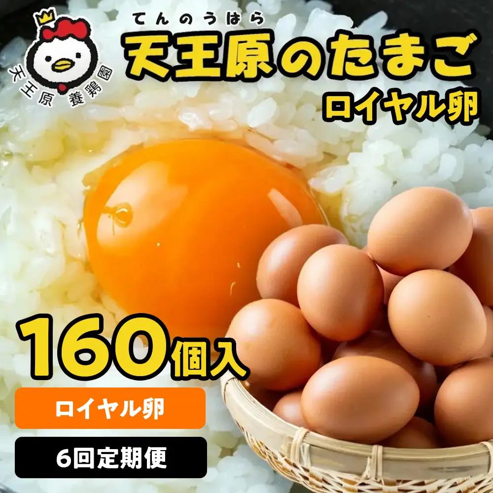 【定期便】６回定期 【天王原のたまご】 ロイヤル卵160個入り
