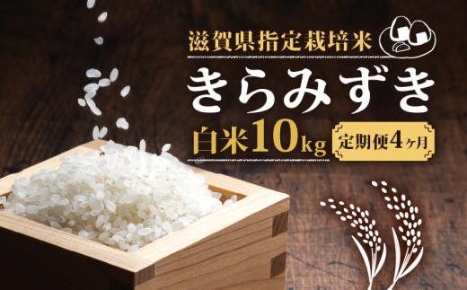 新米 【定期便4回コース】 きらみずき 白米 10kg 2024年産  定期 4ヶ月 化学肥料不使用 滋賀県指定栽培米 国産 安心 安全 近江米 米 お米 白米 お弁当 玄米 産地直送 滋賀県 竜王町 送料無料