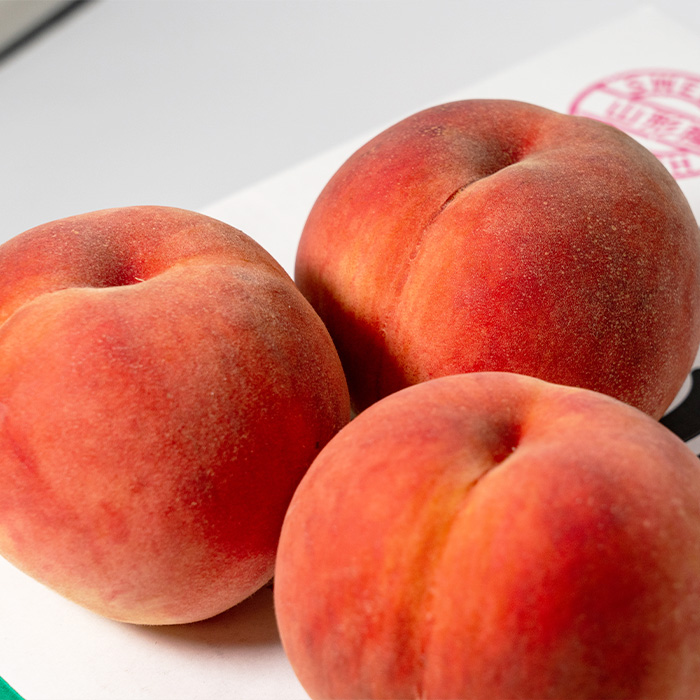 やまがたの桃(白桃) あかつき 秀品 約3kg(6～12玉程度) 【令和8年産先行予約】FS23-810