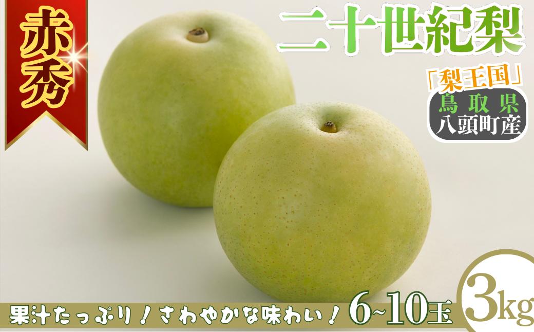 
                  二十世紀梨(赤秀) 3kg「Y's Farm Tottori」【梨 なし ナシ 果物 フルーツ ギフト 先行予約 甘い 果実 果汁 デザート もぎたて 旬】
                