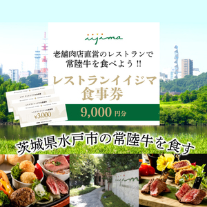 レストラン 食事券 水戸 茨城県 創業45年 レストランイイジマ 常陸牛 ディナー ランチ クーポン 寄付 3万円 9000円分 肉のイイジマ（DU-123）
