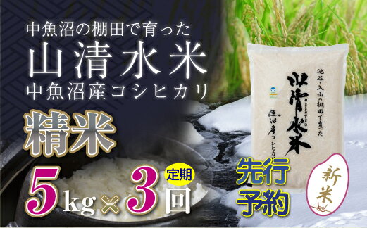 【ふるさと納税】【定期便／全3回】精米5kg 新潟県魚沼産コシヒカリ「山清水米」 　お届け：寄附入金確認後、順次発送します。