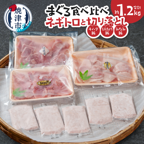 a15-680　まぐろ食べ比べセット約1.2Kg ネギトロ 鮪切り落とし キハダ びんちょう みなみ鮪