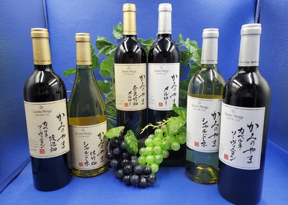 サントネージュかみのやま産葡萄のワイン満足セット（７５０ｍｌ×６本）　0141-2615