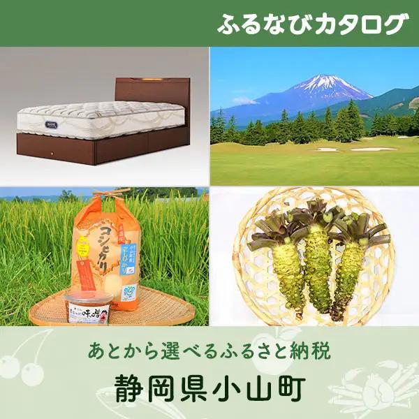 【有効期限なし！後からゆっくり特産品を選べる】静岡県小山町カタログポイント