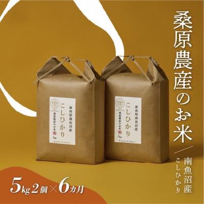 ふるさと納税 南魚沼市 【発送月固定定期便】10月より発送　桑原農産 山間地限定米 南魚沼産こしひかり[5kg×2袋]全6回