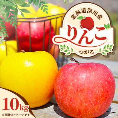 【令和8年産先行受付】北海道深川産りんご(つがる)10kg【ふるさと納税】【配送不可地域：離島】【1298286】