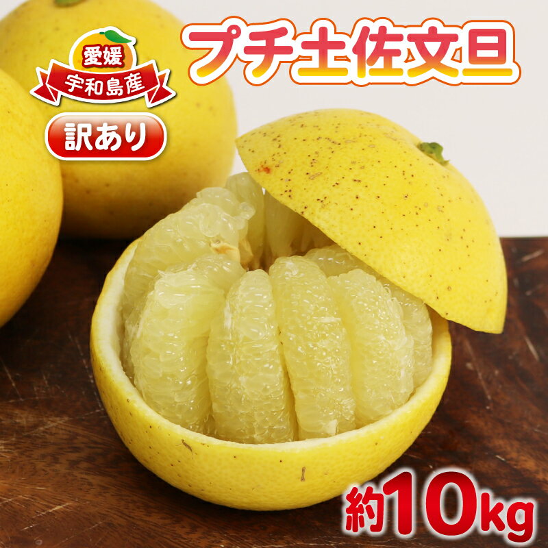【ふるさと納税】 文旦 訳あり プチ 土佐文旦 10kg 杉本屋 先行予約 わけあり 訳あり品 ぶんたん 果物 くだもの フルーツ 柑橘 蜜柑 みかん mikan ビタミン デザート 愛媛みかん 愛媛ミカン 産地直送 数量限定 国産 愛媛 宇和島 B010-143026