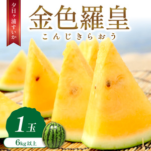 【先行予約／数量限定50】夕日ヶ浦すいか（金色羅皇） 1玉（2026年7月中旬～発送）果物 くだもの スイカ 西瓜  ふるさと納税 スイカ ふるさと納税 先行予約 フルーツ ふるーつ 甘い 京都 丹後 高級