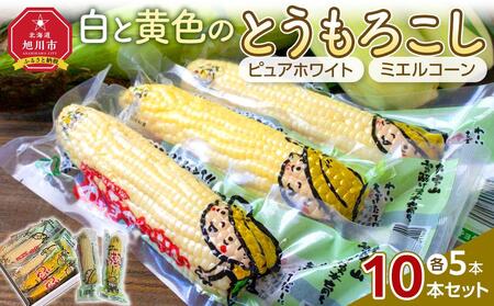 【先行予約/2025年10月中旬より順次発送】白と黄色のとうもろこし10本セット（真空パック） | とうもろこし とうもろこし とうもろこし とうもろこし とうもろこしとうもろこし _04804