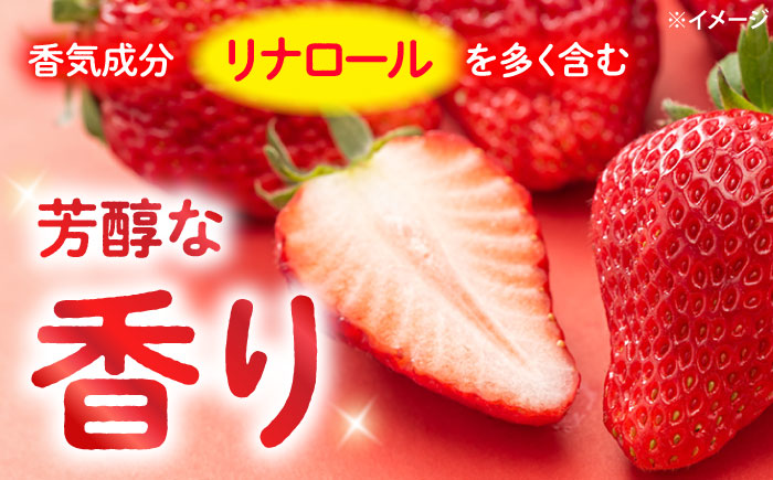 【風味豊かな香り】西海市産いちご「かおりの」2kg（250g×8パック）＜武藤農園＞ [CFV002]