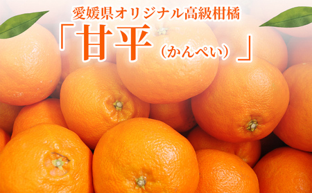 ＜秀品 甘平 (L～3Lサイズ) 約5kg＞蜜柑 ミカン みかん 果物 フルーツ 柑橘 かんぺい 果汁 ジューシー 果肉 国産 愛媛県産 西予市産 ギフト 贈答用 高級柑橘 特産品 丸二青果 愛媛県 