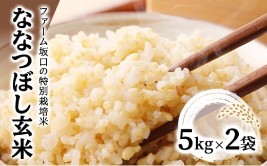令和7年産！ファーム坂口の特別栽培米 ななつぼし玄米 10kg (5kg×2袋)