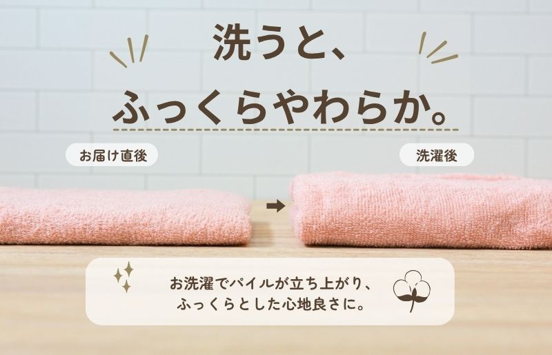 デイリーフェイスタオル 10枚セット (ピンクベージュ）【国内製造 日本製 泉州タオル 無地 吸水力 耐久性】 015B696