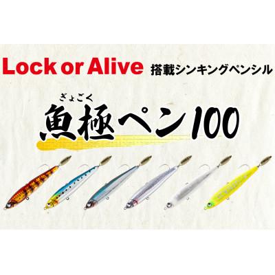 ふるさと納税 飯塚市 RUDIE‘Sの魚極ペン100(35g)セレクト3個セット 釣り具 ルアー |  | 01