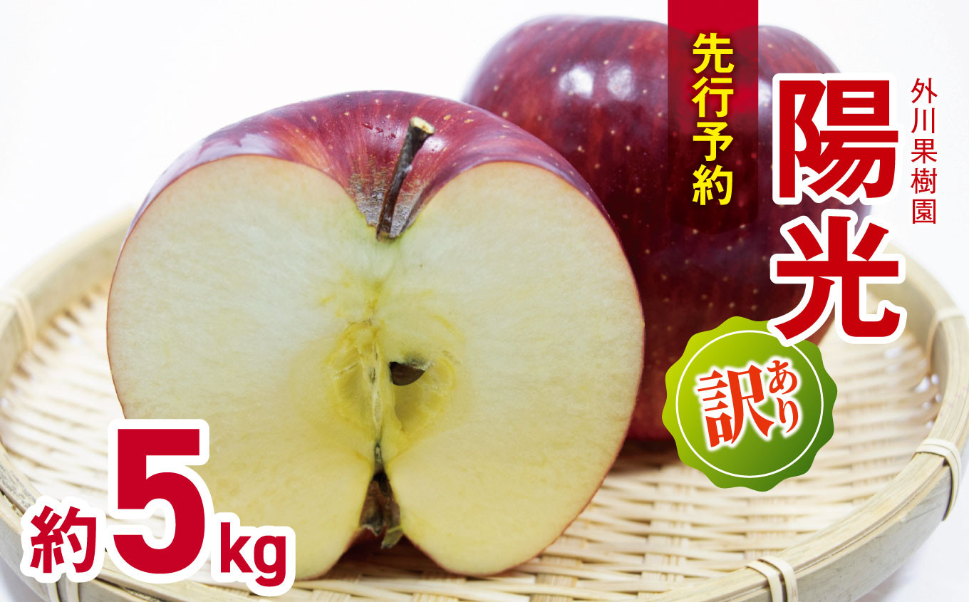 
            【2026年先行予約】訳あり 陽光 約5kg ｜  外川果樹園 リンゴ りんご 林檎 果物 フルーツ 果実 果汁 陽光 ようこう わけあり 訳アリ 長野県 松川村 信州
          