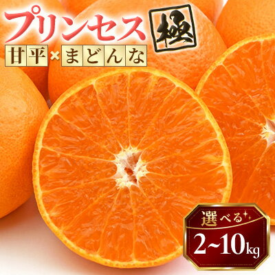 【ふるさと納税】新品種!【甘平×まどんな】愛果48号(紅プリンセスと同品種)【極】2kg/3kg/5kg/10kg_ みかん ミカン 蜜柑 プリンセス 果物 くだもの フルーツ デザート おいしい 希少 かんきつ 柑橘 柑橘類 国産 愛媛 愛媛県 八幡浜市 産直 産地直送 送料無料 【G1621802】