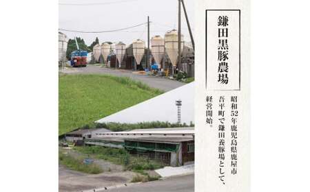 【定期便6ヵ月】鹿児島県産黒豚しゃぶしゃぶセット（バラ・肩ロース・ロース）1kg 1379-3