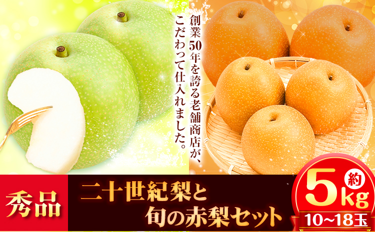 【先行予約】秀品 二十世紀梨と旬の赤梨セット 約5kg(10〜18玉)《2025年8月下旬-10月上旬頃出荷》 鳥取県 八頭町 梨 なし ナシ 果物 フルーツ ギフト 先行予約 送料無料 甘い 果実 果汁 デザート